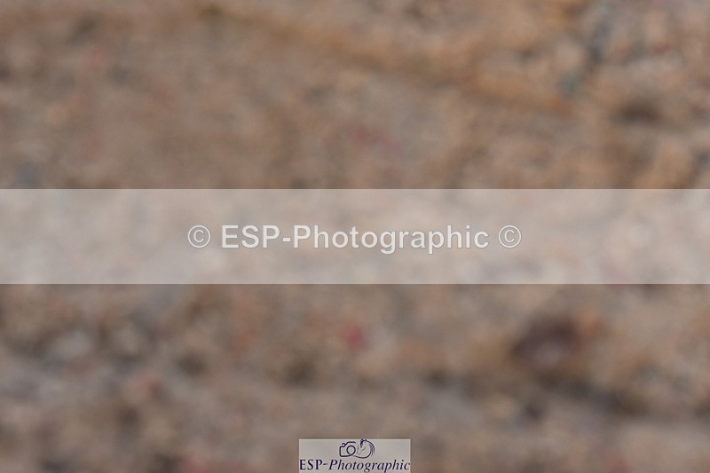 231104A-115633-00326 - Cls 7 Elementary 43