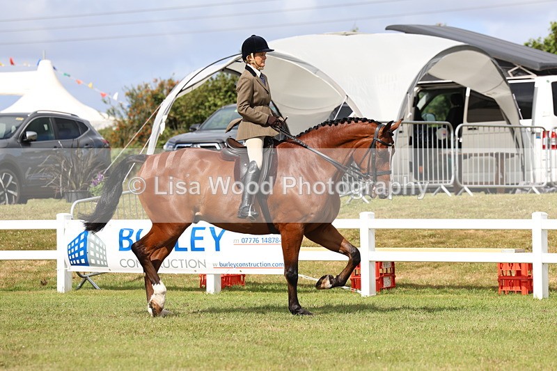 3E7A9276 - Class 4: Rising Star M/H Hunter