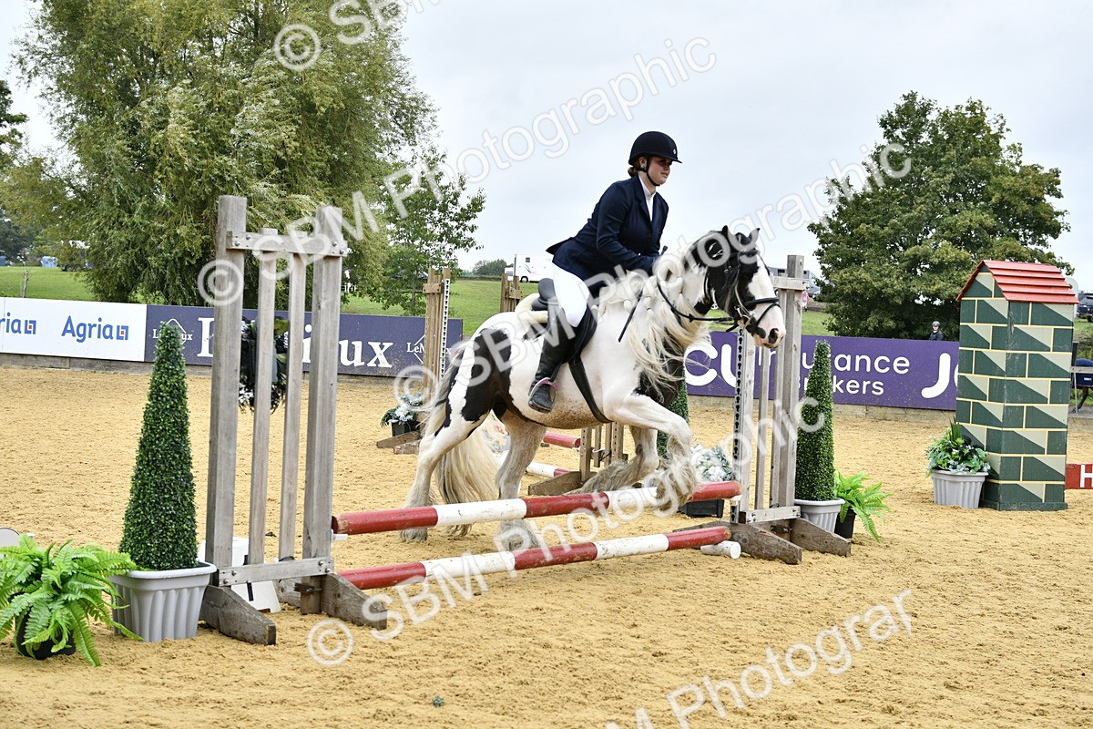 SBM_70738 - J3 - Mini Tour Junior Pony 40cm championship