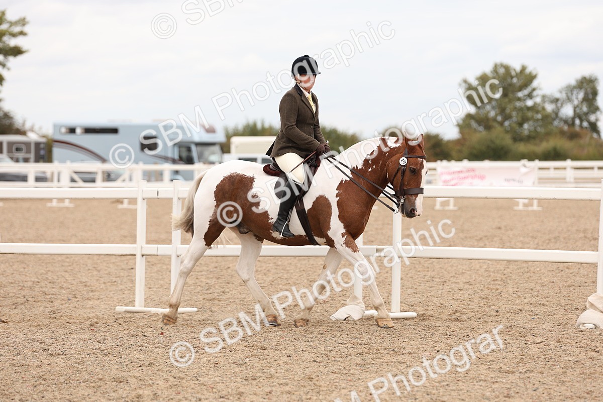 SBM_19521 - Class 215 - Ridden Show cob