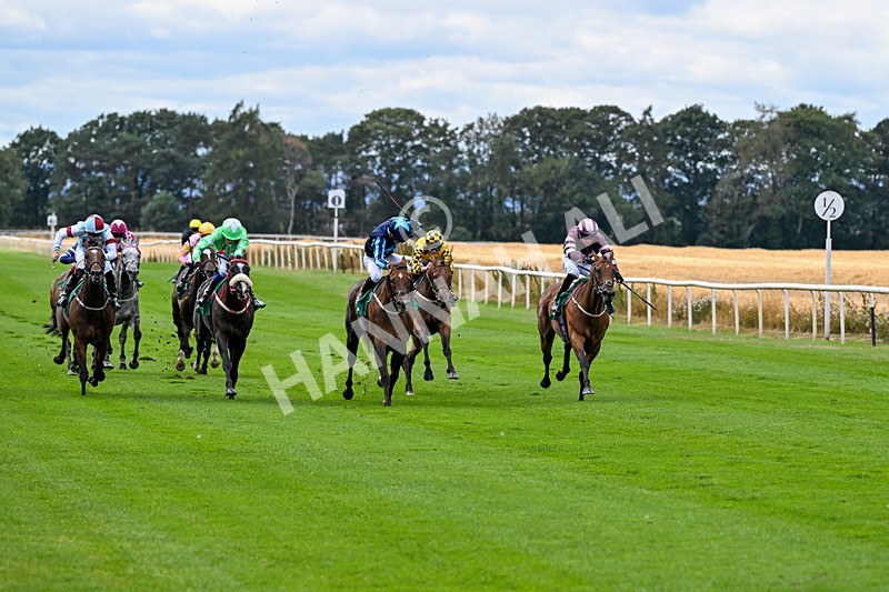 070826-Race 1-Drish Samphire-1331 - Race 1 14.10pm goracing.co.uk Future Stars Apprentice Classified Stakes