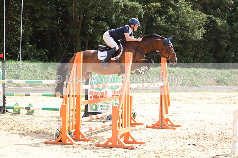 3E7A1910 - Class 9: Senior Foxhunter/1.20 open