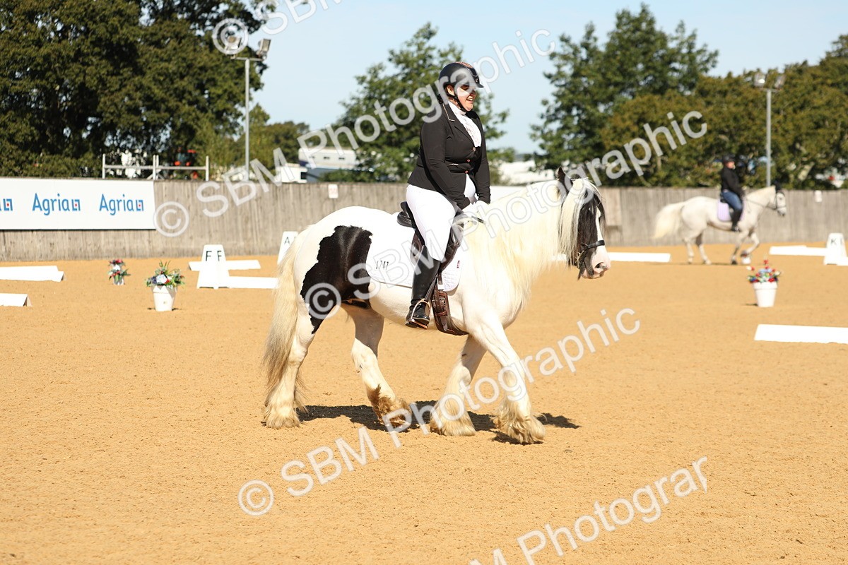 SBM_19641 - D10 - Small Tour Championship - Prelim 2