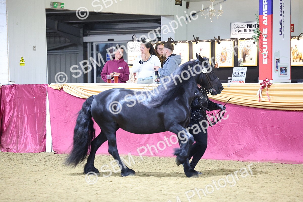 0B8A4538 - Class P Veteran Champ