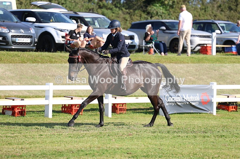 3E7A5622 - Class 2: Rising Star Large Hack/Riding Horse