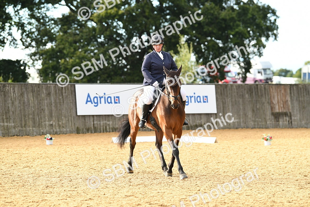 SBM_12519 - D19 Small Tour Championship Elementary 42