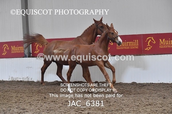 JAC_6381 - 19 Luca