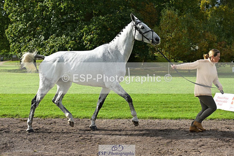 241023-132038-00218 - 014-Lizzie.Luxton-ST.TROPEZ