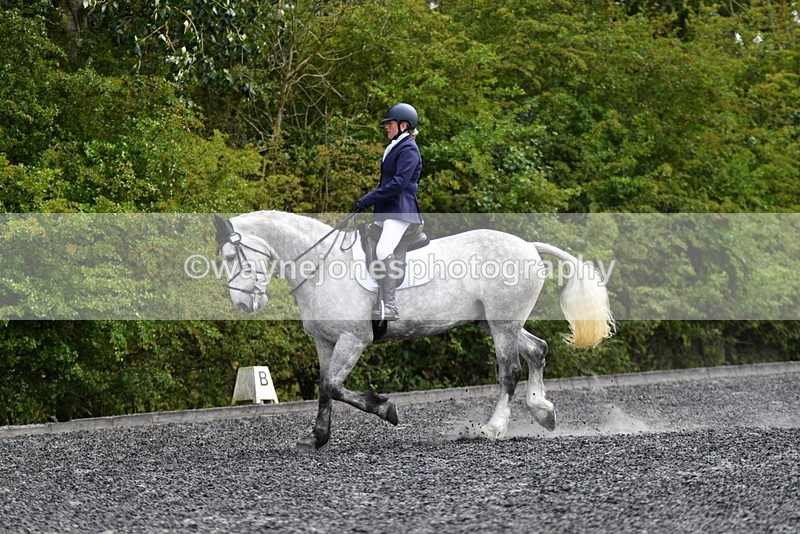 WJ5_2039 - Time 15:05 to 15:30