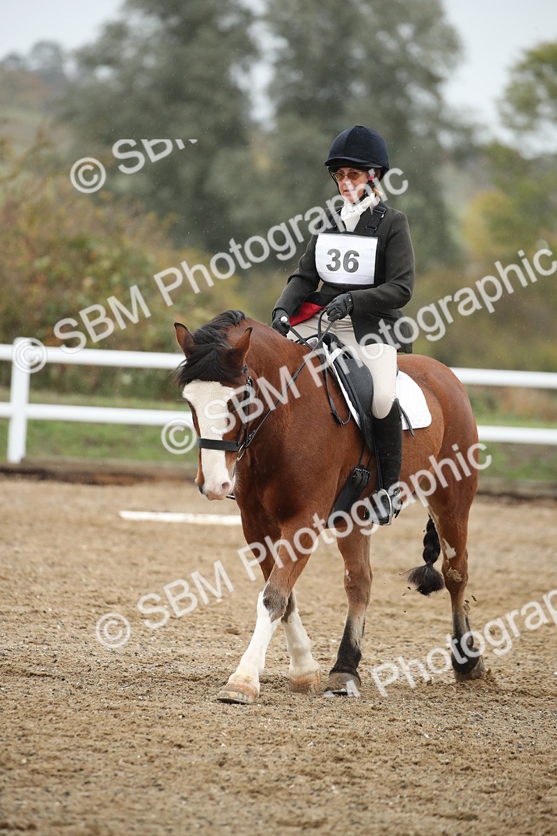 SBM_001381 - Prelim A-PYO