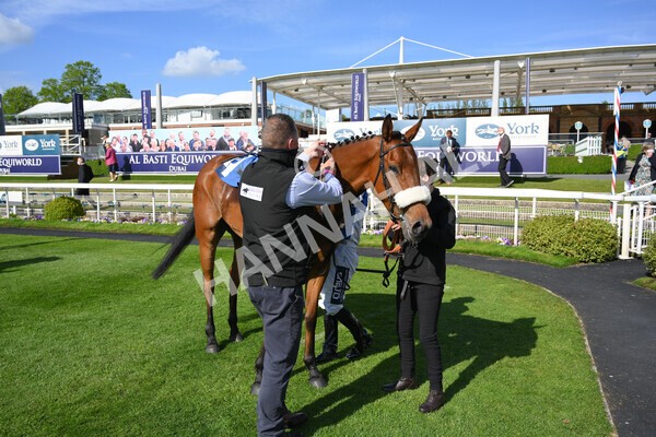 yr13052021r7-46 - Race 7 4.50pm Autohorn Stakes