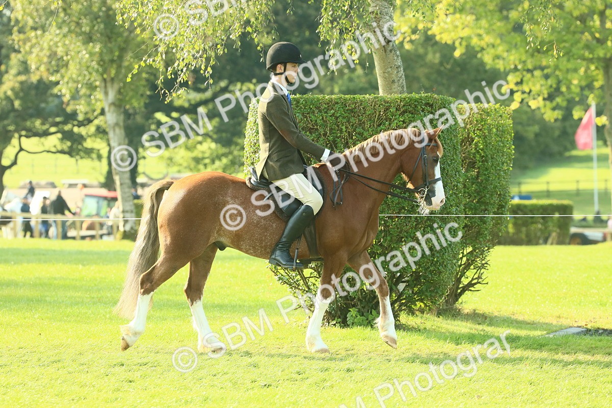 SBM_59303 - S38 - Starters Ridden Showing
