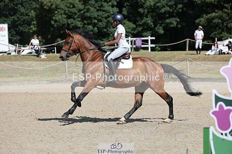 250703A-101156-00881 - Cls 6 Snr British Novice and 90cm Open