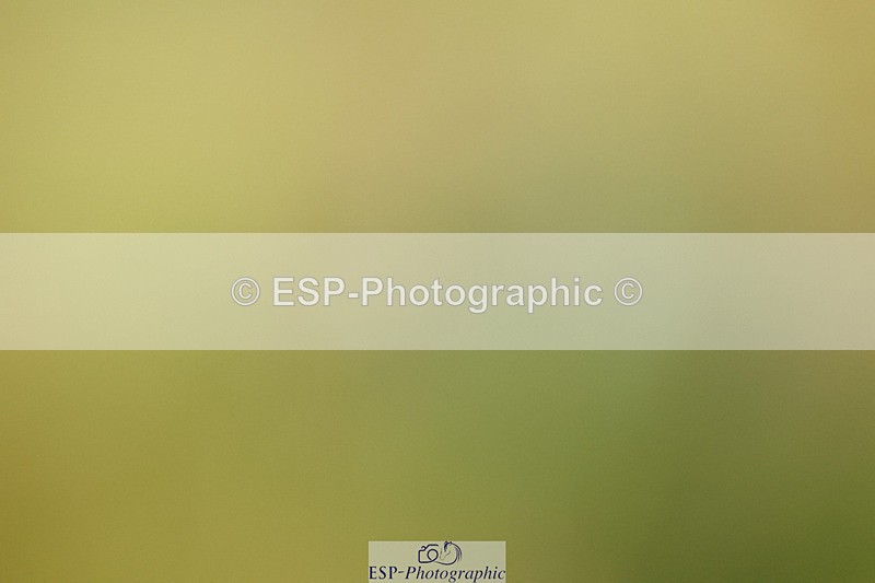 240824X-084516-21862 - D70 Section C and D 8.30 to 9.30