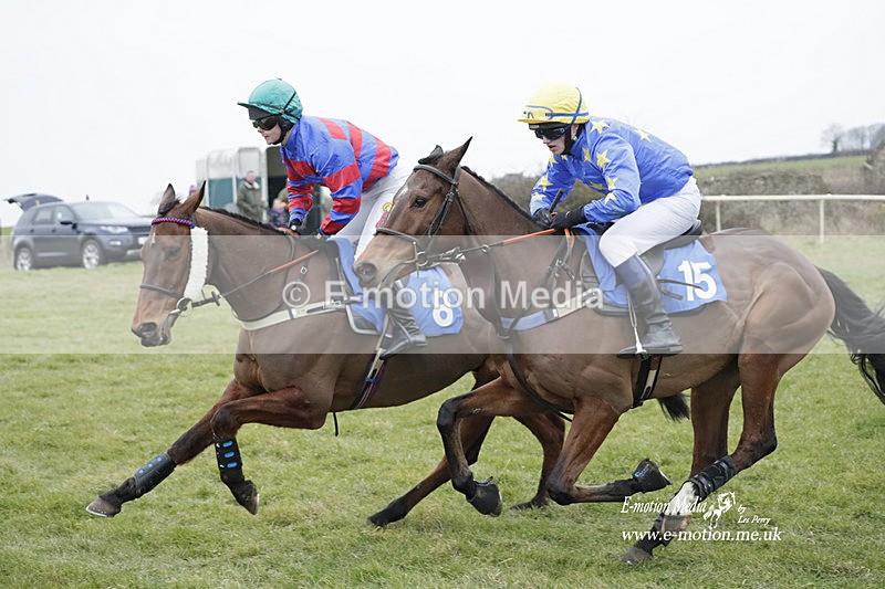PtP 040323 711 - Duke of Beauforts Hunt Point-to-Point Didmarton 04/03/23