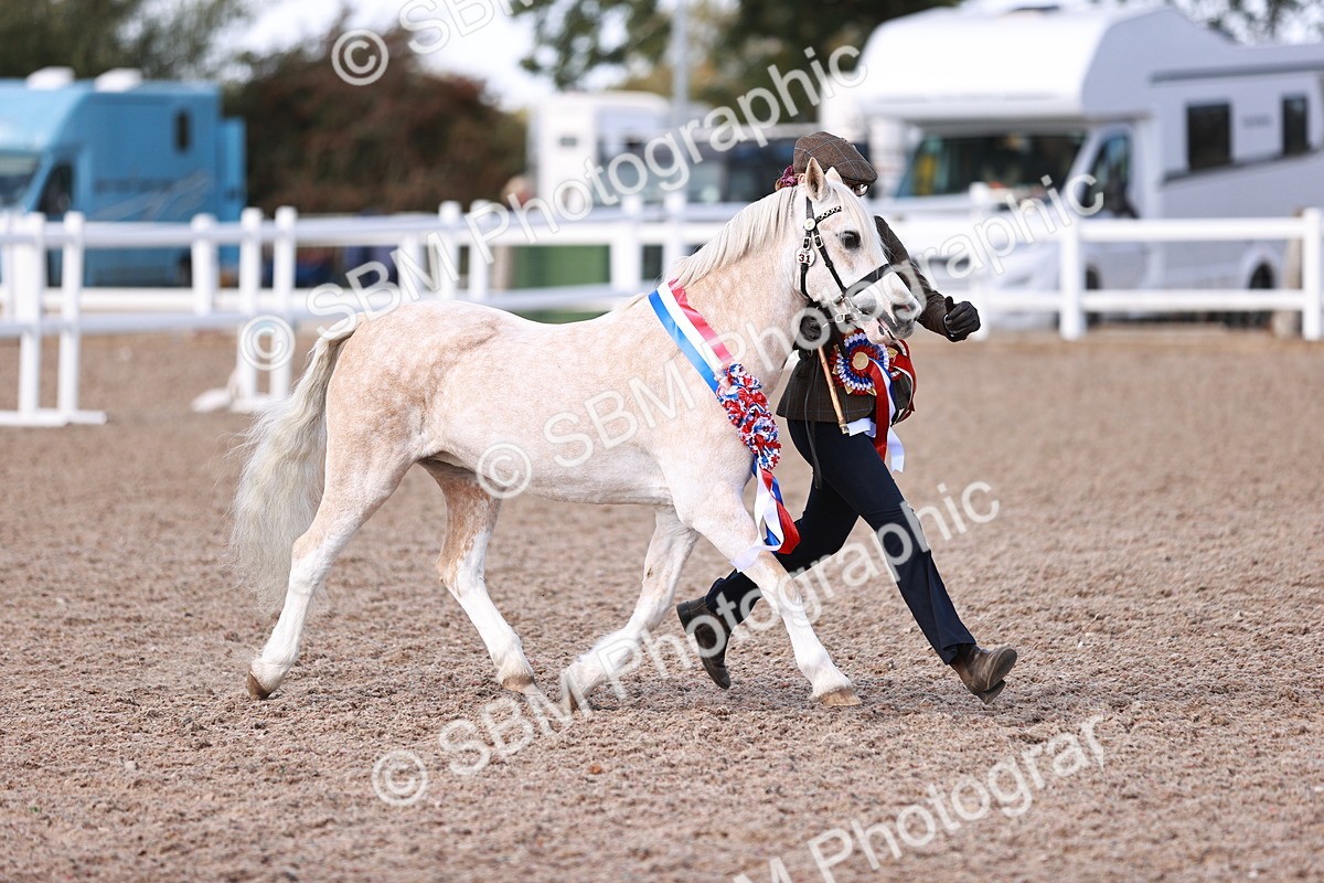 SBM_22927 - Class 706 - IH Veteran