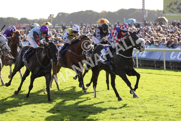 yr08102022r4-30 - Race 4 3.15pm The Coral Sprint Trophy