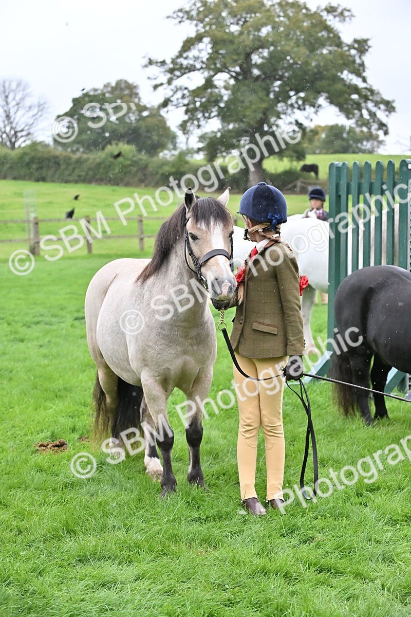 SBM_68602 - S42 - Junior Handler 9-12 Years