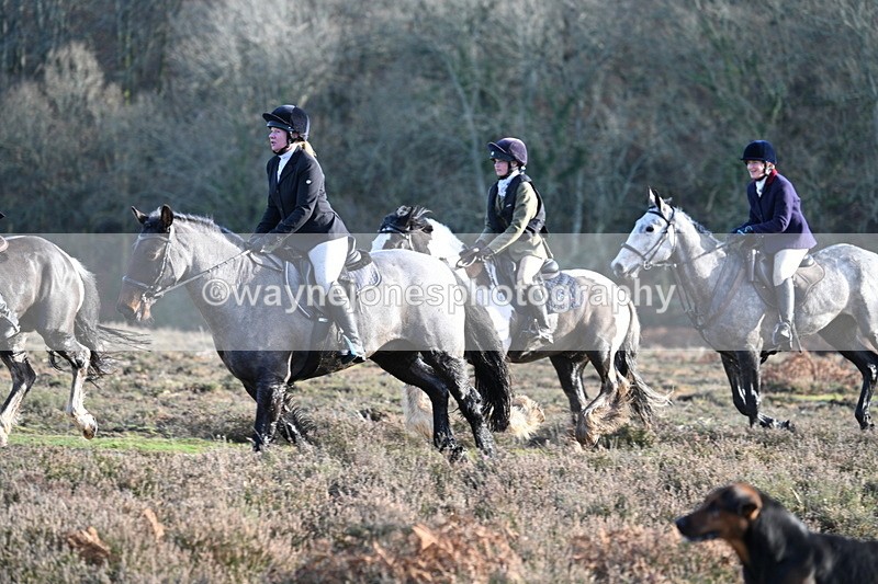 WJ7_7973 - Line 3 (no line 4 or 5)