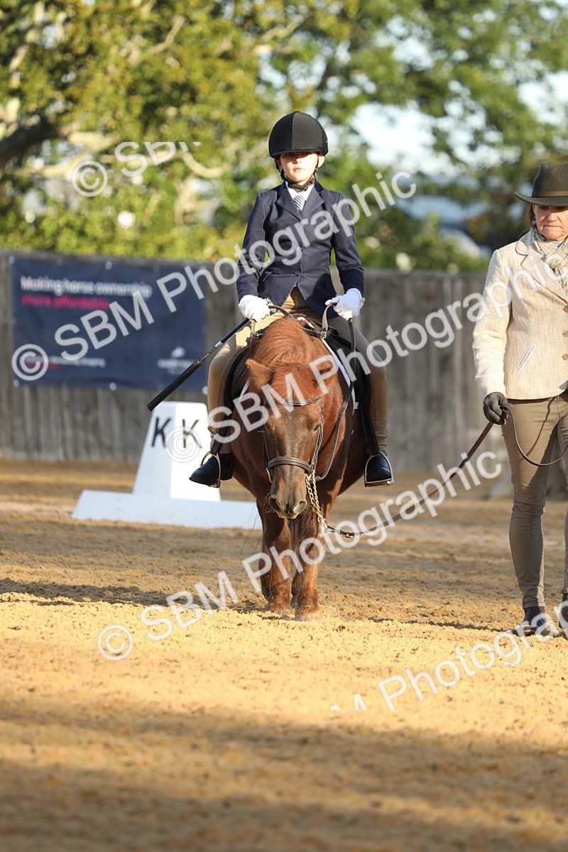 SBM_33623 - D26 - Starers - Lead Rein