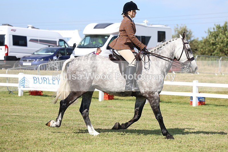 3E7A6004 - Class 3: Rising Star S/L Hunter