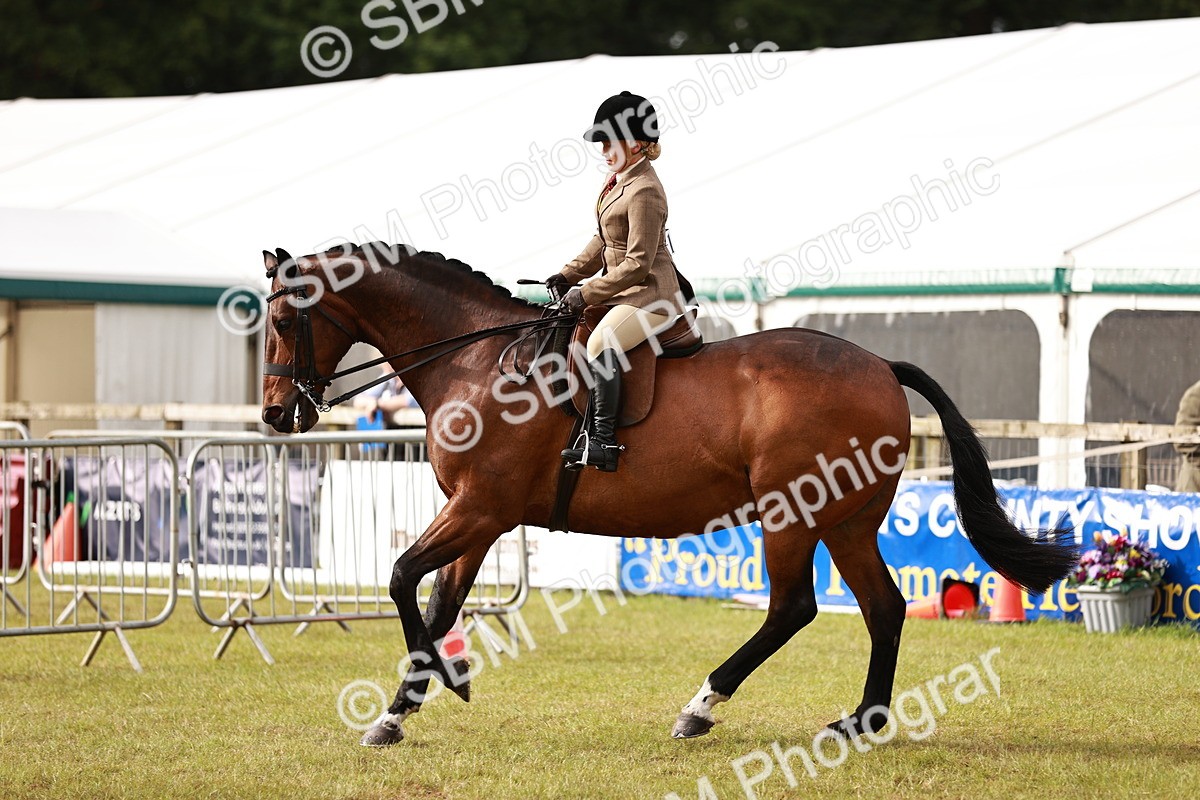 SBM_10859 - Class 81-84 - RIHS Ridden hunters Inc Ladies Hunter