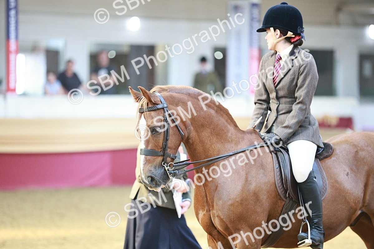 SBM_07121 - Class 10R - Regional Ridden Diamond