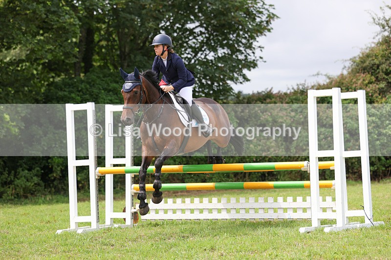 3E7A6958 - Class 5: Senior British Novice/90cm open