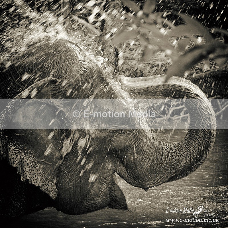 Krabi Oct03 265BW - B & W photography