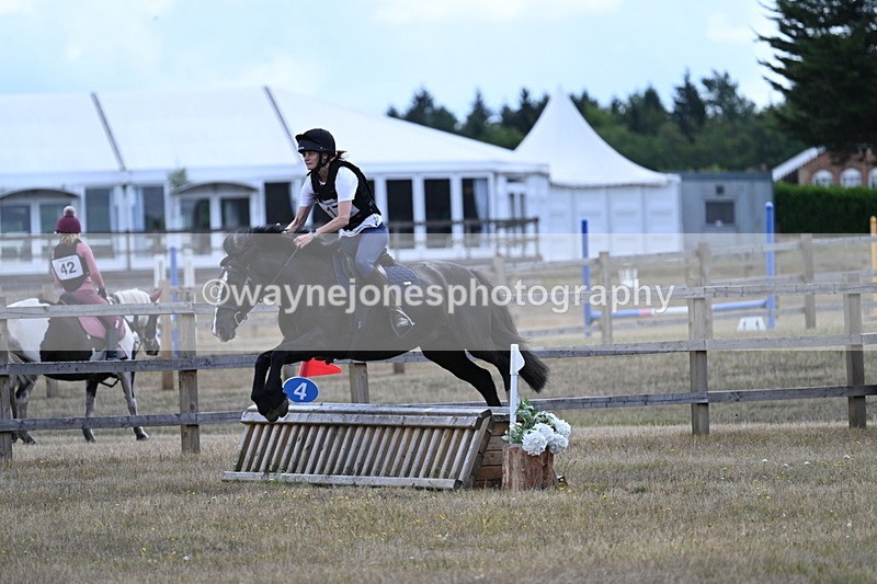 WJ7_0728 - 60cm Time 12:26 to 12:46