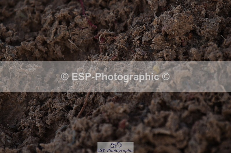 231101A-102102-00023 - Cls 1 British Novice