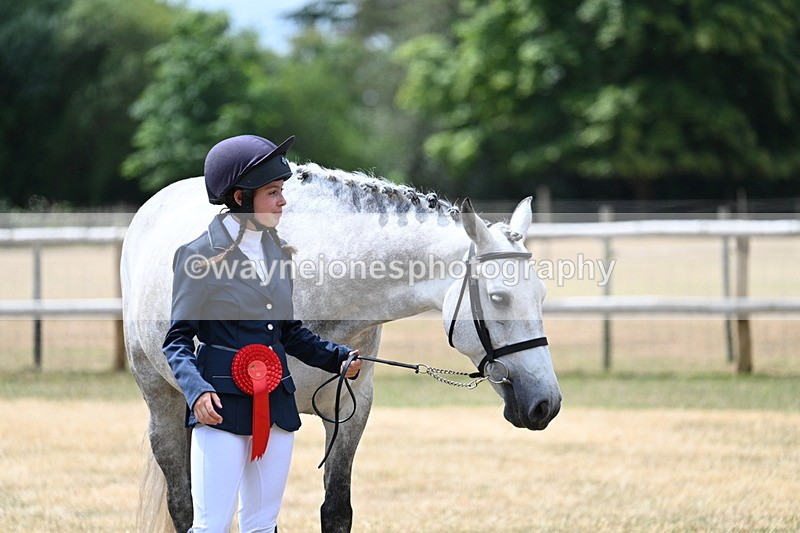 WJ7_2107 - Prettiest Mare Champs
