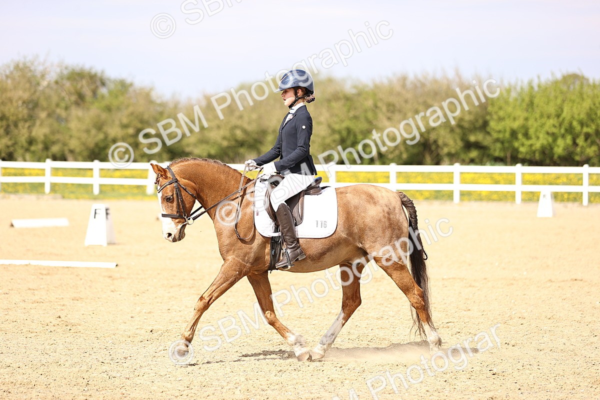 SBM_008448 - Class 8-10-11 - N3-E1-PYO