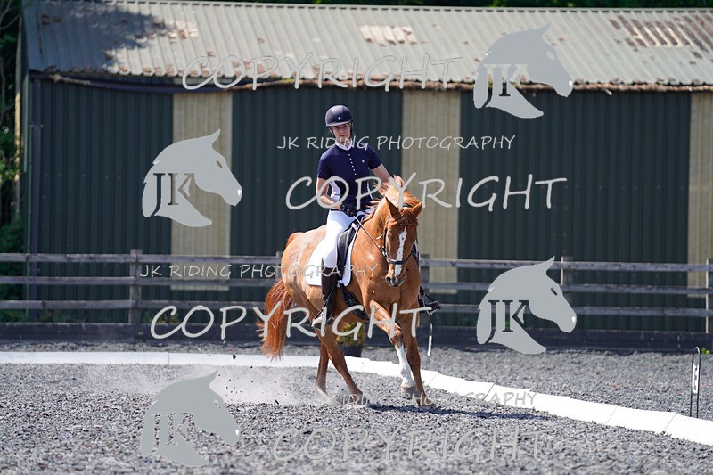 _DSC4227 - ELEM 1