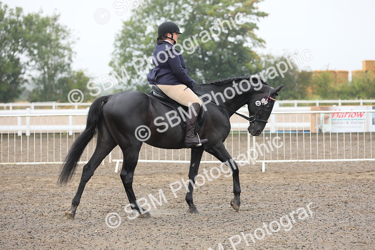 SBM_21218 - Class 805 - Ridden Veteran Horse