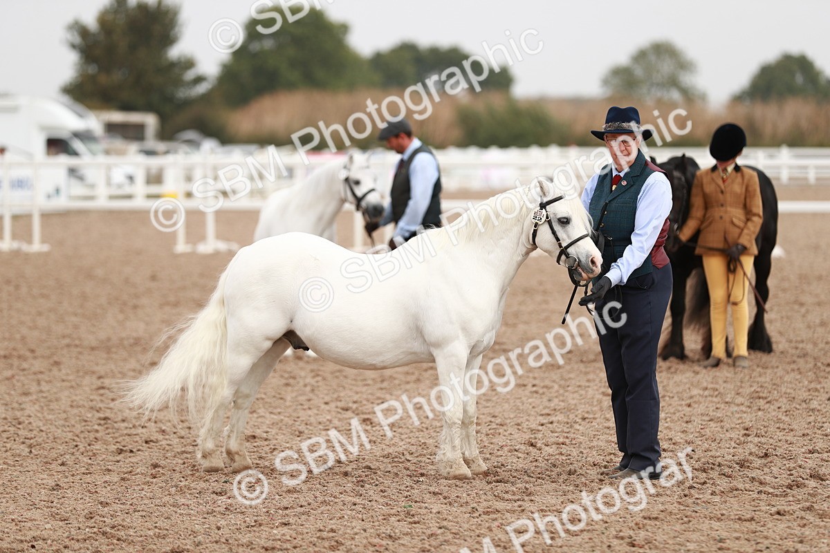 SBM_12506 - Class 207 IH M&M