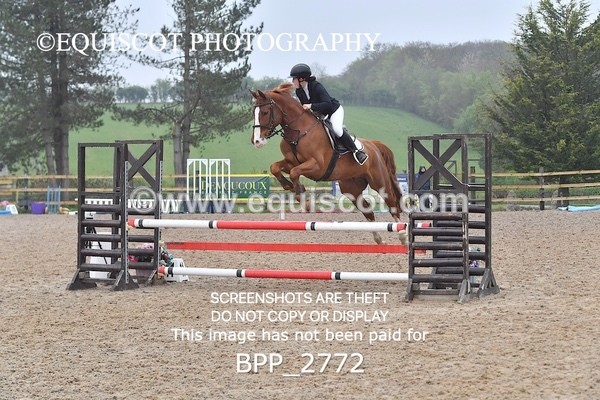 BPP_2772 - CLASS 4 Senior British Novice/ 90cm Open