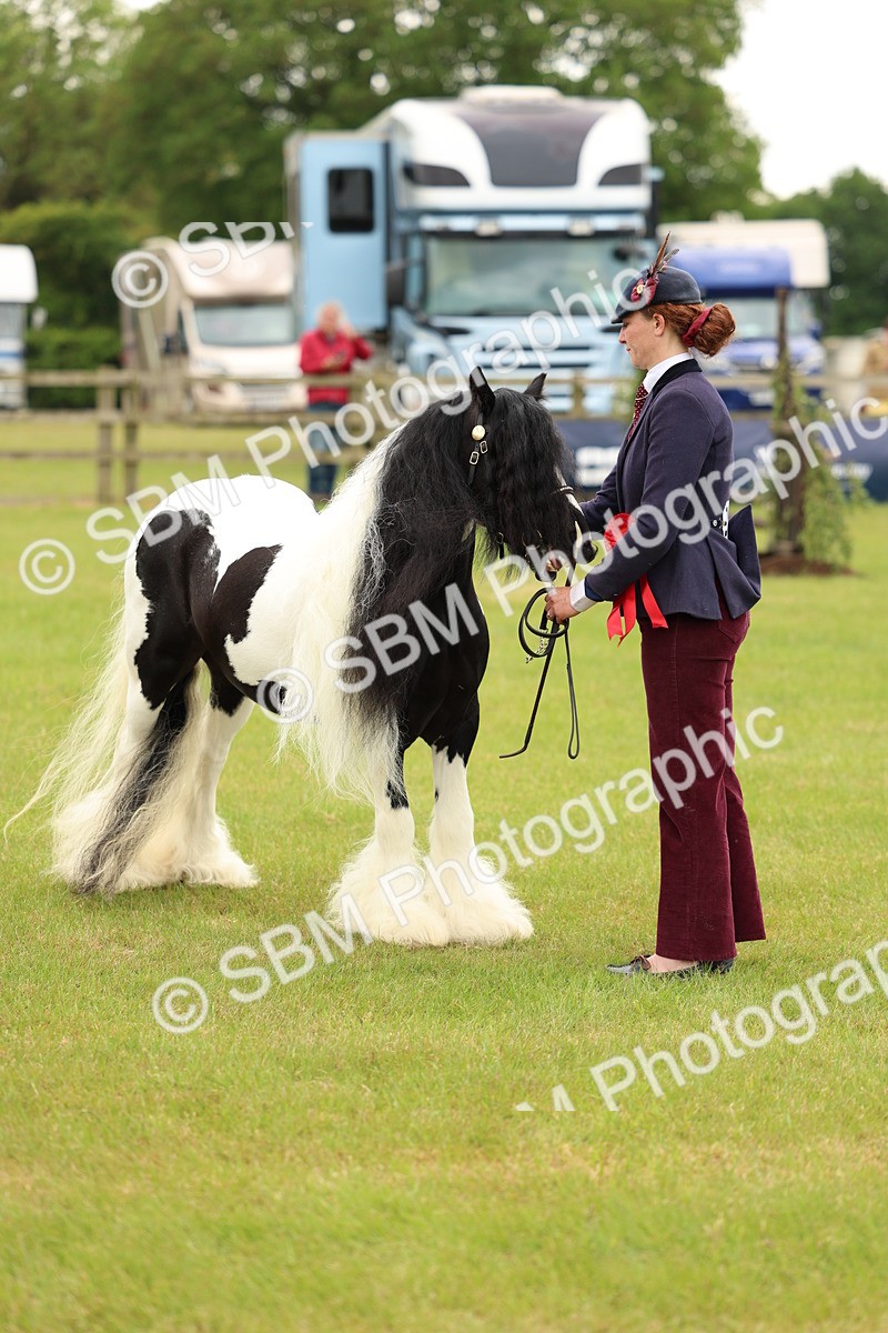 SBM_06345 - Class 39-41 TGCA In Hand and Ridden