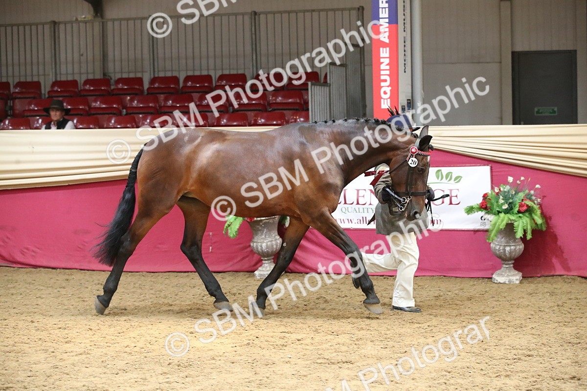 SBM_05454 - Class 8R - Regional IH Veteran