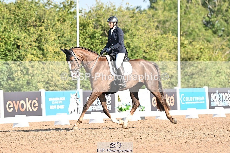 250816-090959-02581 - 097-Susie.CullenSir.Safir.Caledonia