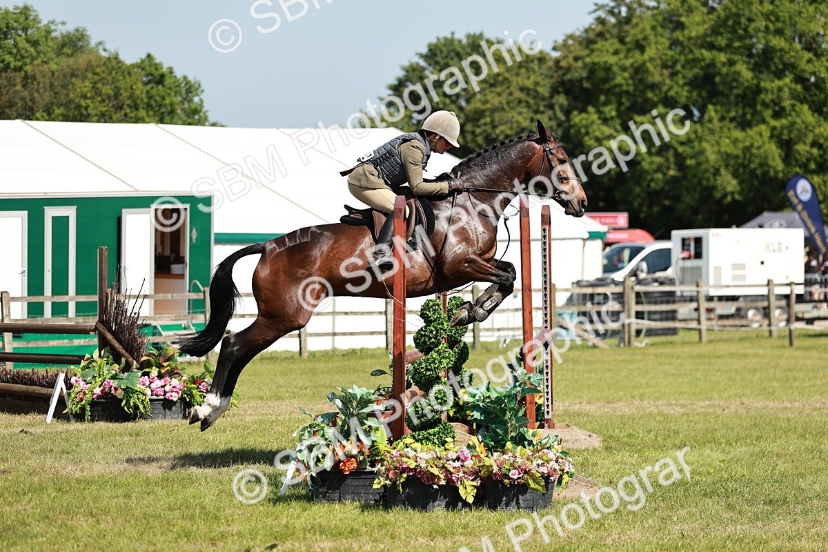 SBM_18356 - Class 112-113 - BSPS LIHS Working Sports Pony