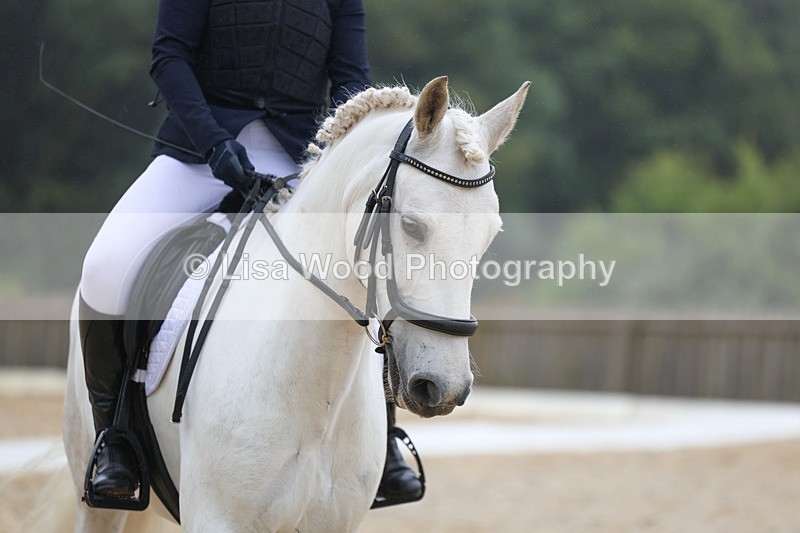 3E7A8067 - Class 1: Intro 3 2024 section A