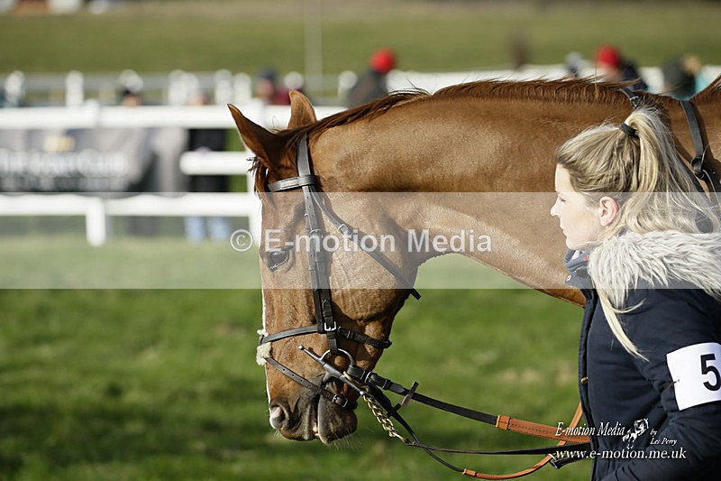 PtP 281121 017 - Hursley Hambledon Point-to-Point Larkhill 28/11/21