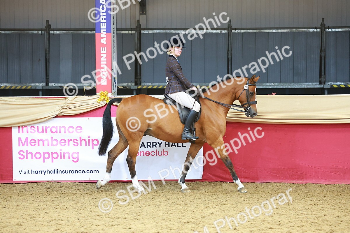 SBM_12400 - Class 103 - HOYS Veteran Qualifier - Ridden Pre Vet