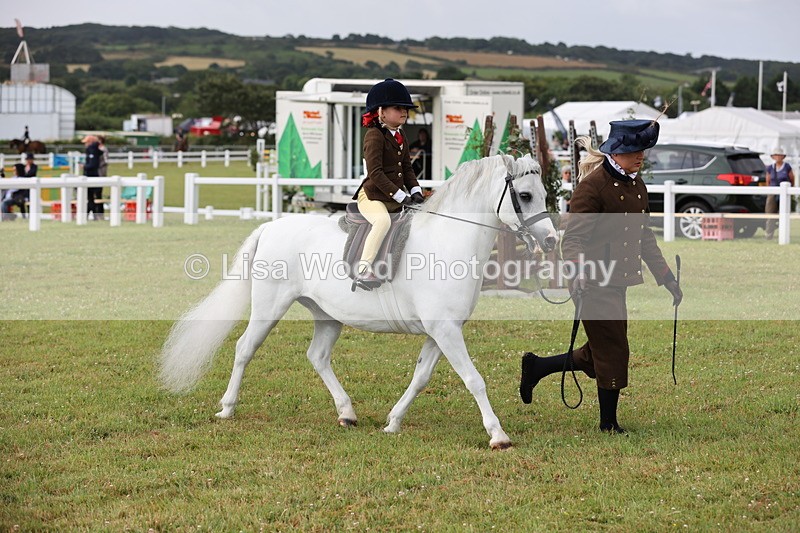 JPP_0334 - Class 14: Cornish Combination Leading Rein