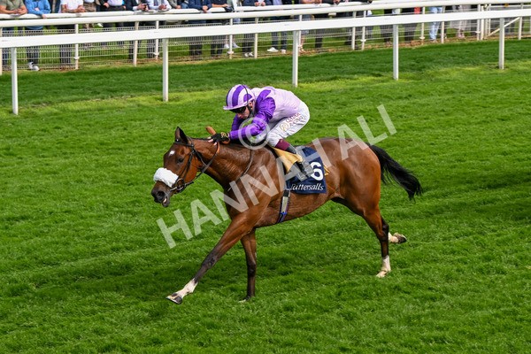 150524-Race 4-Secret Satire-4243 - Race 4 3.45pm Tattersalls Musidora Stakes