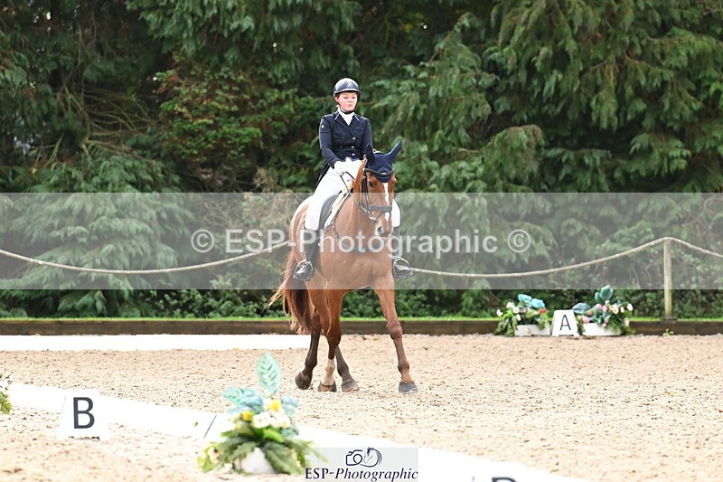 251023A-124111-02297 - B-154-Holly.Law