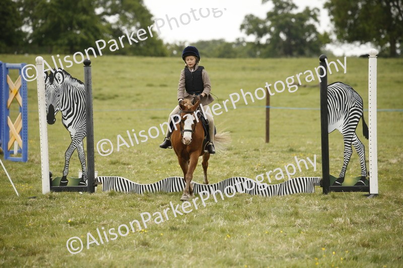 20250517-0970 - Class 2 - 30cm Off Lead Rein