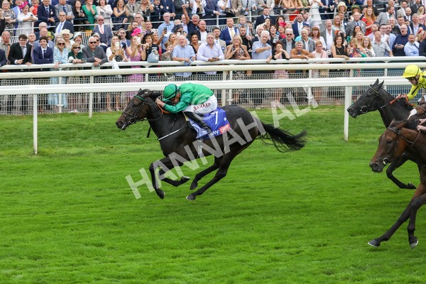 240823-Race 1-Relief Rally-5029 - Race 1 1.50pm Sky Bet Lowther Stakes