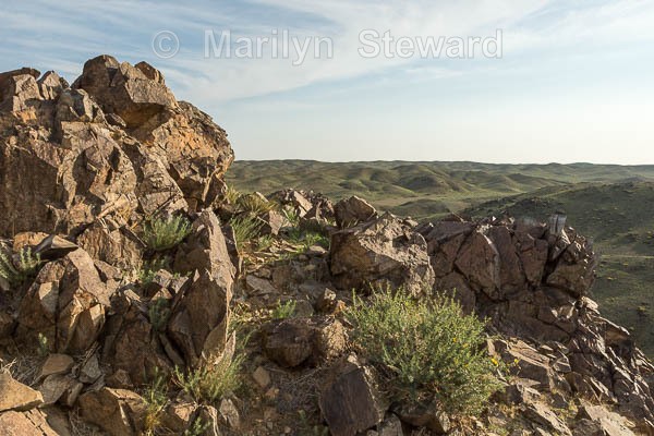 Mount Khogno Khan National Park - Mongolia
